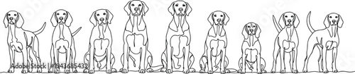 Continuous line drawing of hunting dogs standing and sitting in a row, minimalist beagle vector art on white background