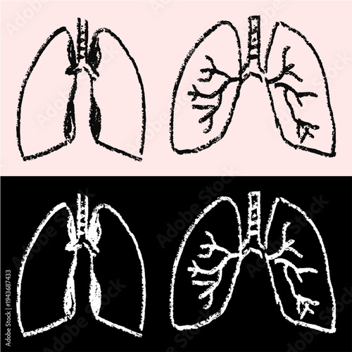 Set editable chalk drawing lungs vector for biology lessons. Ideal for symbolizing vintage respiratory studies, chalkboard human anatomy, and school medical science concepts.