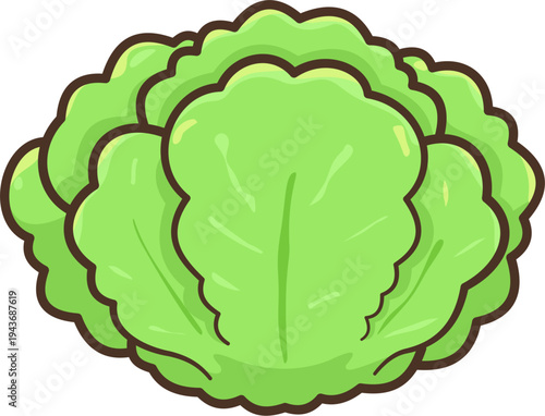 A vibrant green cabbage vector illustration in a cute flat style, ideal for grocery or recipe graphics.