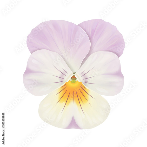 Delicate pastel pansy flower close-up displaying soft hues isolated on white background