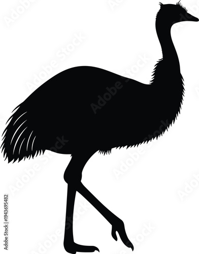 Black silhouette of an emu bird isolated on a white background for wildlife nature conservation and Australian animal vector design.
