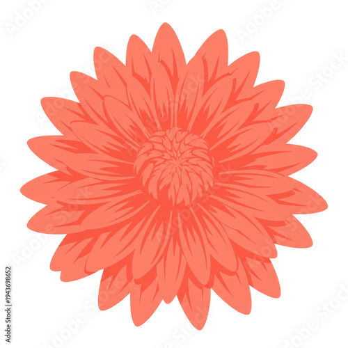 Vibrant coral flower design with detailed petals isolated on white background