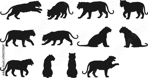Panther and big cat silhouette set, wild predator animal poses collection, jungle wildlife illustration isolated on white background