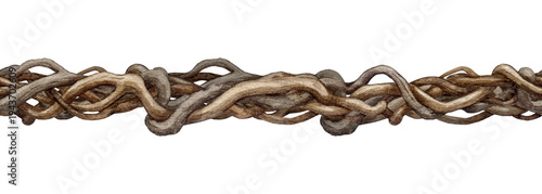 Εκτύπωση καμβά Twisted vine creeper branch seamless border decor element on white background
