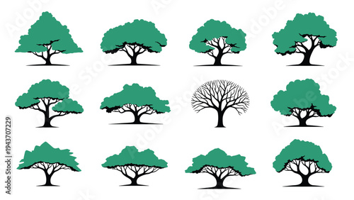 Set of twelve different green tree silhouettes with various canopy shapes, including one leafless winter tree for diverse landscape designs.