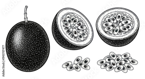 Passion Fruit Illustration: Whole, Halved, and Seeds - Hand-Drawn Sketch