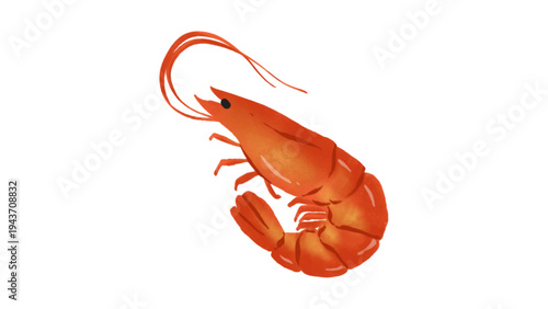 Fresh Cooked Shrimp or Prawn Illustration Isolated on White