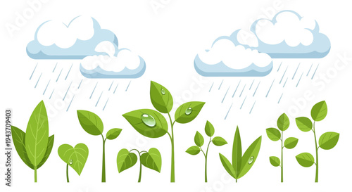 Flat illustration of various green seedlings growing under rainy weather with clouds and raindrops, conveying a monsoon season scene.