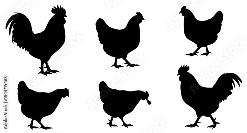 Chicken hen rooster silhouette vector set farm poultry animal icons EPS 10