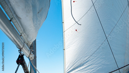 white sails sailing boat close up