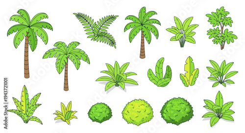Tropical Plants and Trees Collection: Palms, Ferns, Bushes - Vector Illustration
