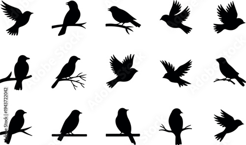 Black solid bird icon set showing birds in flying perched and resting poses for wildlife nature and animal vector illustration