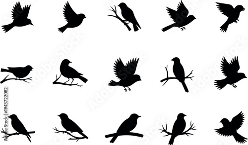 Black solid bird icon set showing birds in flying perched and resting poses for wildlife nature and animal vector illustration