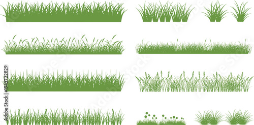 A comprehensive vector collection of diverse green grass borders and natural meadow elements, perfect for creating decorative design accents and vibrant landscape illustrations
