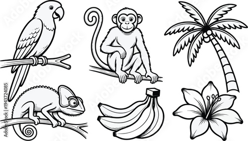 A funny cartoon vector illustration set of tropical animals and birds featuring nature sketches and floral designs in a coloring book style for creative art projects