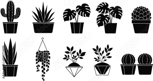 Vector silhouette collection of indoor houseplants in pots featuring monstera leaves, desert cactus, succulent plants, hanging ivy, and aloe vera for modern interior home decor.
