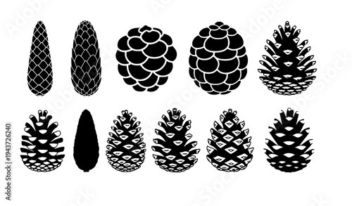 Pine cone silhouette collection nature forest botanical icon set vector illustration