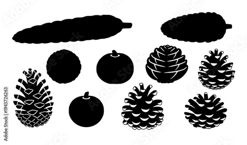 Forest pine cone silhouettes vector collection botanical nature illustration set