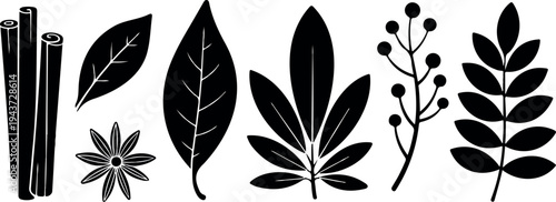 Black silhouette spice and herb icon set featuring cinnamon sticks bay leaves star anise peppercorns for culinary organic design