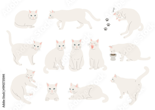 Illustration of a white cat in various poses