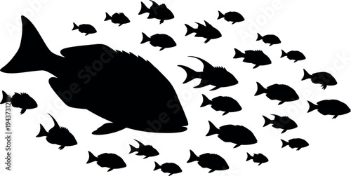 School of fish with large leader silhouette