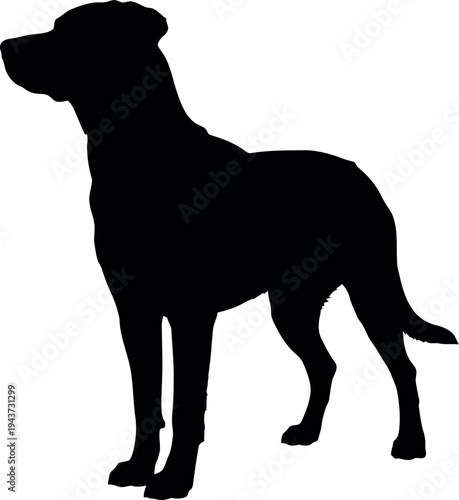Black silhouette of a dog standing on a white background