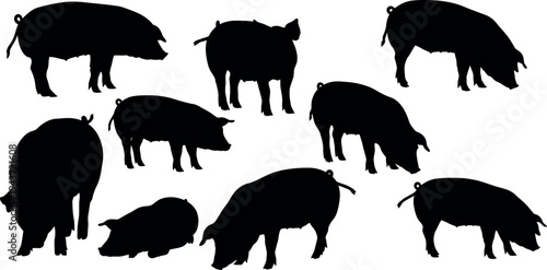 Silhouettes of pigs in various poses