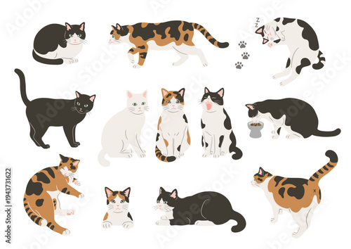 Cute cat various poses illustration set	