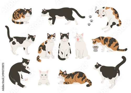 Cute cat various poses illustration set	