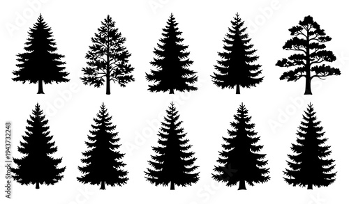 Vintage fir and pine tree silhouettes vector set conifer forest nature collection isolated on white background