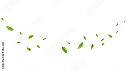 green leaf flying vector background