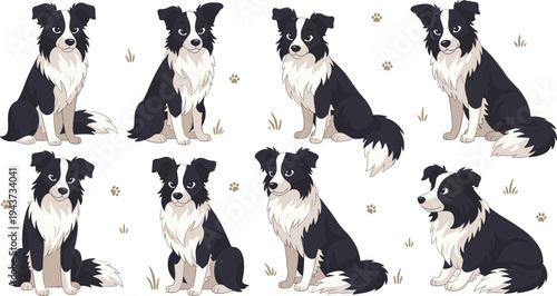 Border Collie Dog Cartoon Character Set Featuring Cute Herding Dog Poses Sitting, Standing, and Smiling for Pet, Farm, and Animal Illustration Designs