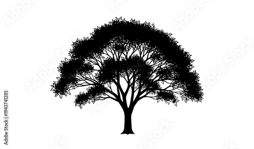 Tree silhouette vector natural forest plant isolated on white background