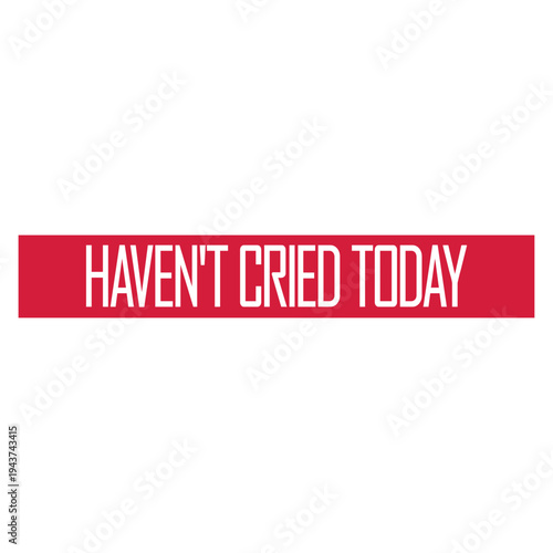 Haven't Cried Today – the painfully relatable quote for anyone having an emotional rollercoaster of a life. Sarcastic, funny and honest. A perfect gift for overthinkers and overly emotional souls.