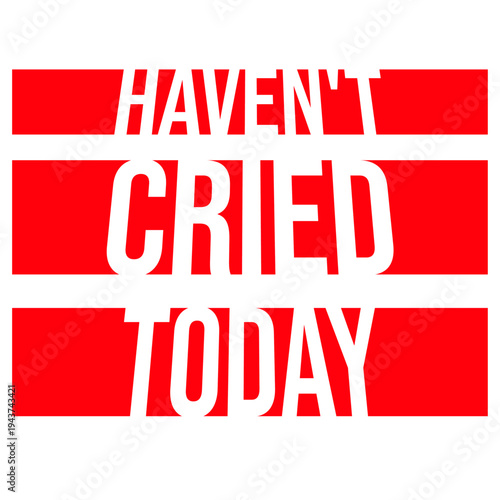 Haven't Cried Today – the painfully relatable quote for anyone having an emotional rollercoaster of a life. Sarcastic, funny and honest. A perfect gift for overthinkers and overly emotional souls.