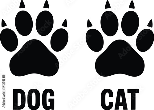 Comparison of dog and cat paw prints with labeled illustrations. isolated on transparent background, Vector