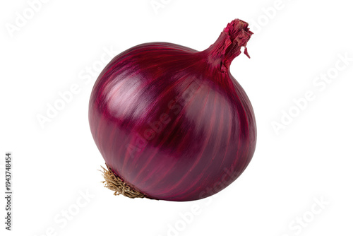 Single red onion with visible roots and stem on black background bulb vegetable, Isolated On White Background, Png Transparent
