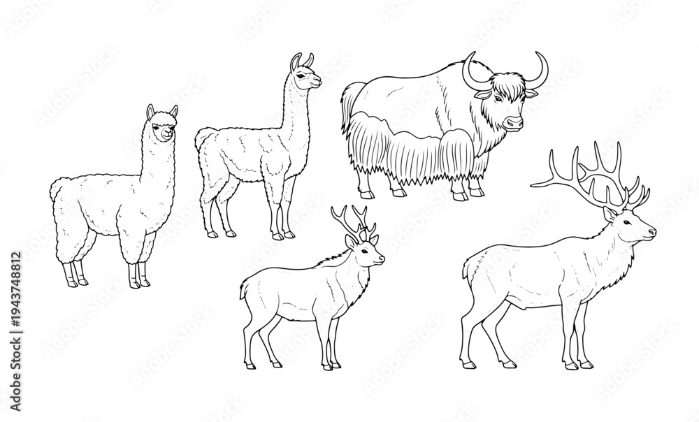 Fototapeta premium Livestock and wild hoofed animals set featuring llama yak and deer species vector line art coloring page