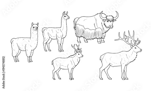 Livestock and wild hoofed animals set featuring llama yak and deer species vector line art coloring page