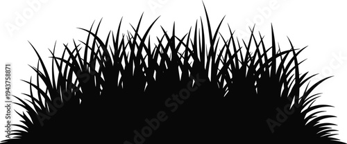 Black silhouette illustration of dense wild grass blades against white background, showcasing organic vegetation, natural textures, outdoor landscape detail, and nature-inspired design elements.