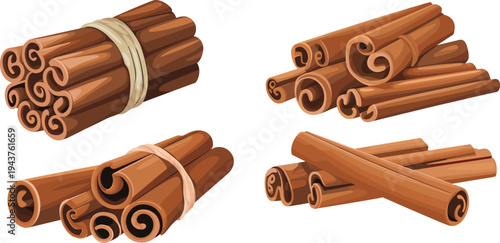 Cinnamon sticks bundle vector illustration set isolated aromatic spice ingredient for cooking baking mulled wine winter drink decoration