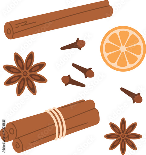 Cinnamon sticks spices vector illustration set with star anise cloves and dried orange slice isolated aromatic ingredients