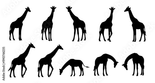 Giraffe silhouette icon set wildlife animal vector illustration EPS 10