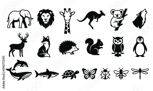 Photography wild animals collection