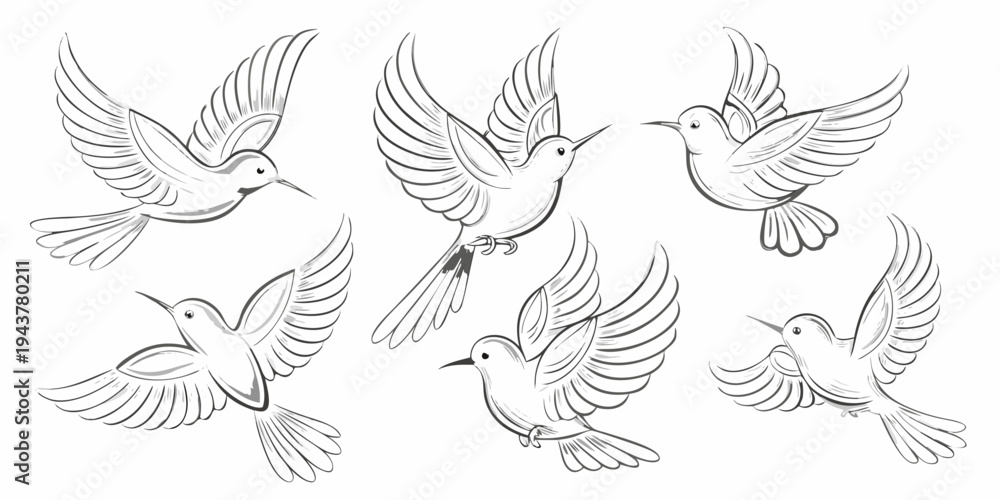 Obraz premium Sketch of hummingbirds in flight showcasing various wing positions