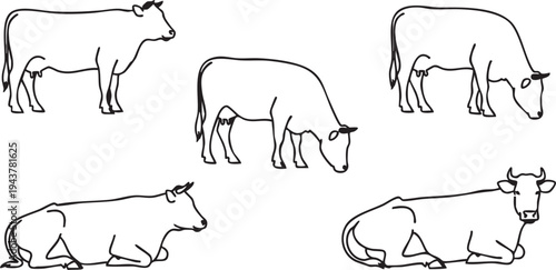Black and white line of cows in various poses line black and white silhouettes animals farm animals