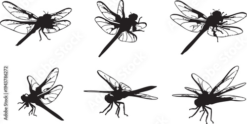 Black silhouette dragonflies on white background dragonfly silhouettes 1 insects