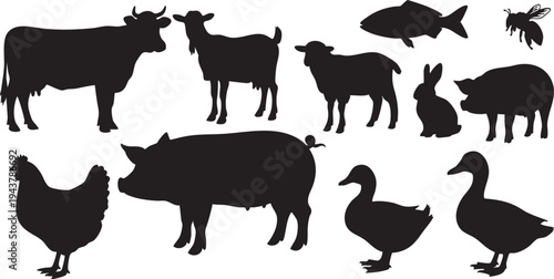 Black silhouette farm animals on white background silhouettes
