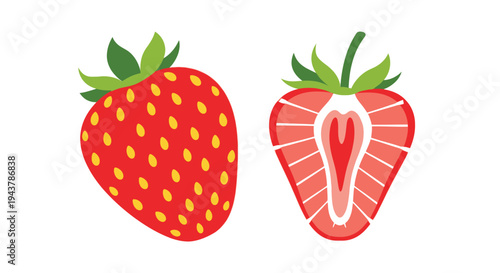 Adobe Illustrator Artwork