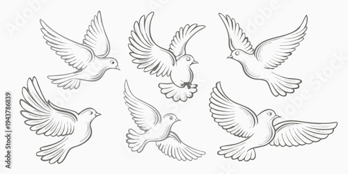 A collection of sketched doves in various flight poses